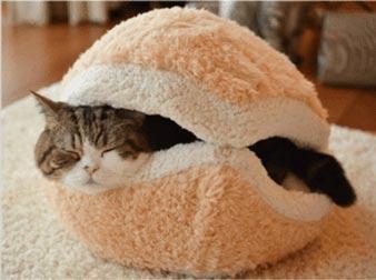 The Cat Burger Bed