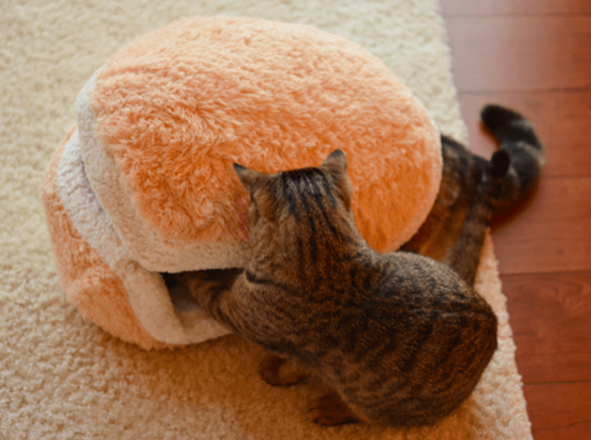 The Cat Burger Bed