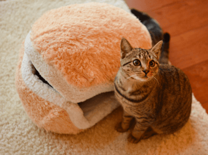 The Cat Burger Bed