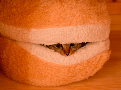 The Cat Burger Bed